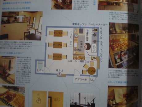 �J�t�F�E�X�C�[�c