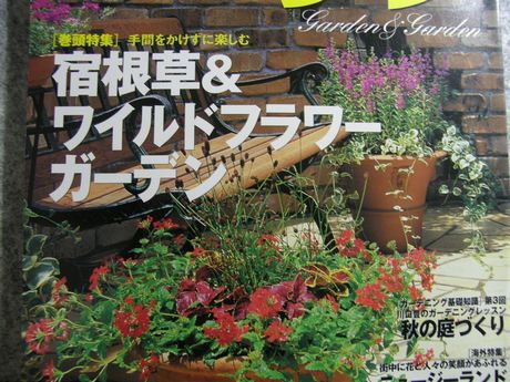 �K�[�f�����K�[�f���\��