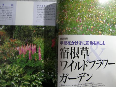 �K�[�f�����K�[�f�����e