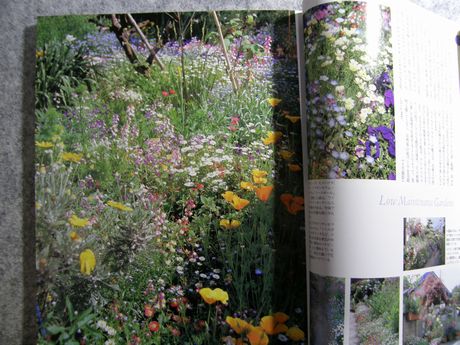 �K�[�f�����K�[�f�����e