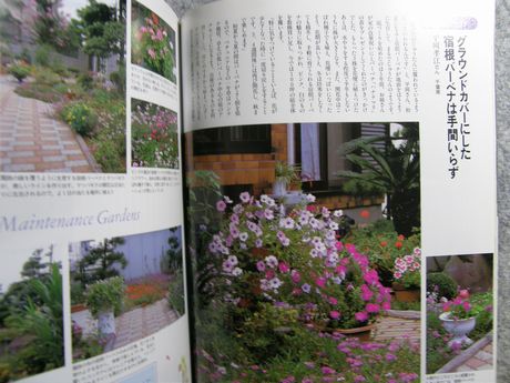 �K�[�f�����K�[�f�����e