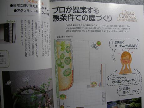 �K�[�f�����K�[�f�����e