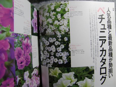 �K�[�f�����K�[�f�����e