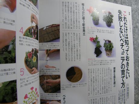 �K�[�f�����K�[�f�����e