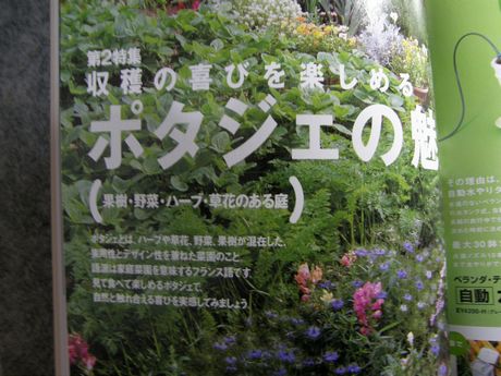 �K�[�f�����K�[�f�����e