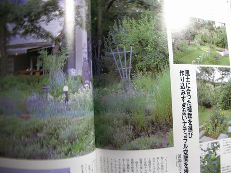 �K�[�f�����K�[�f�����e