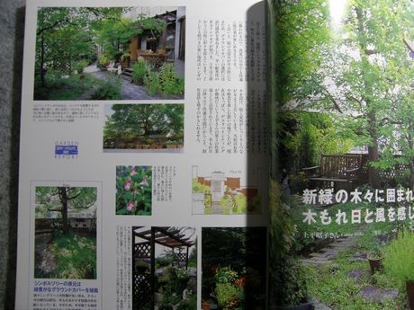 �K�[�f�����K�[�f�����e