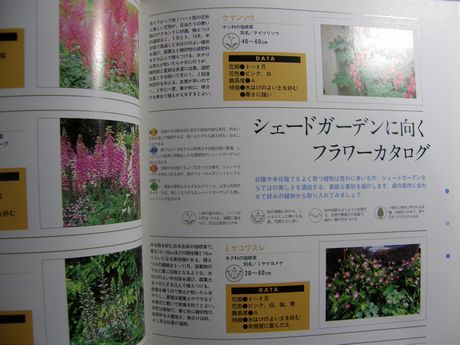 �K�[�f�����K�[�f�����e